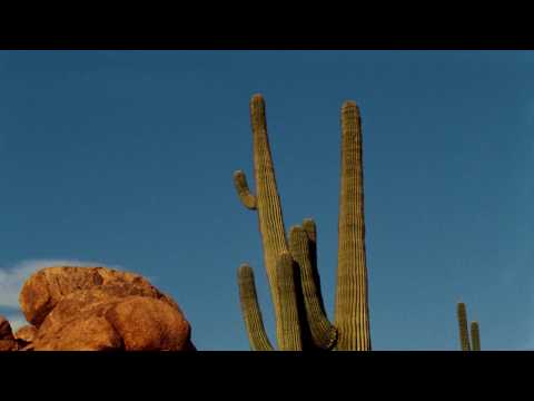 Miu Miu Spring/Summer 18 Eyewear - Societé video cover
