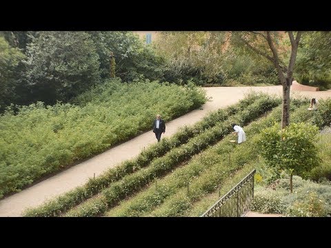 Les Parfums Louis Vuitton – Les Fontaines Parfumées video cover